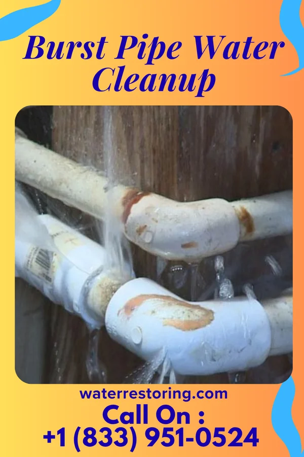 Burst Pipe Water Cleanup in Crafton, PA