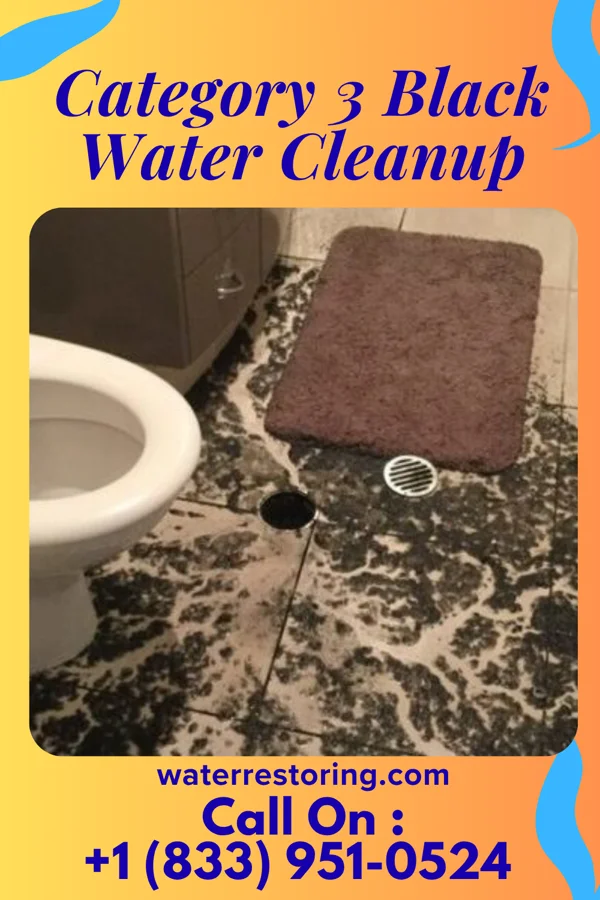 Category 3 Black Water Cleanup in Crafton, PA