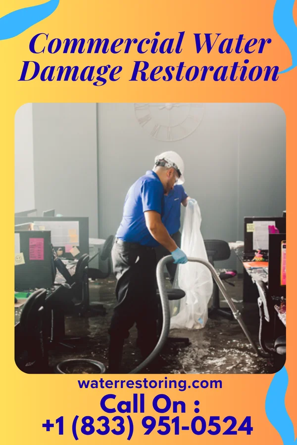 Commercial Water Damage Restoration in Crafton, PA