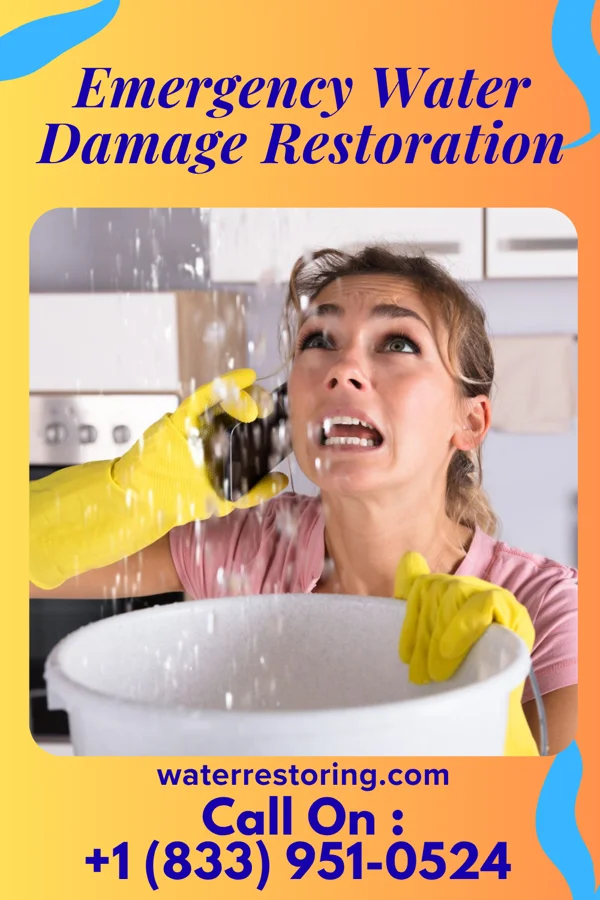 Emergency Water Damage Restoration in Crafton, PA