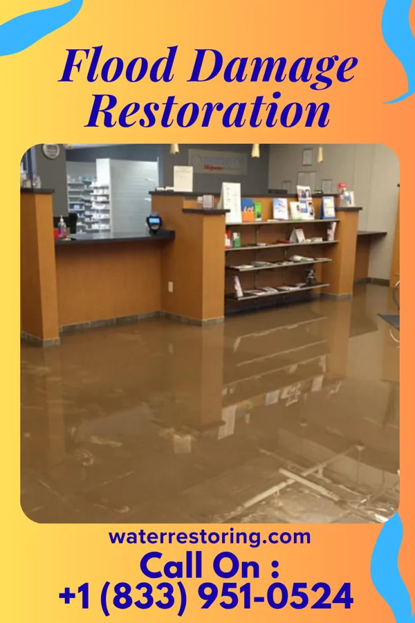 Flood Damage Restoration in Crafton, PA