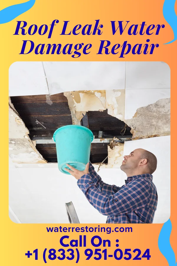 Roof Leak Water Damage Repair in Crafton, PA