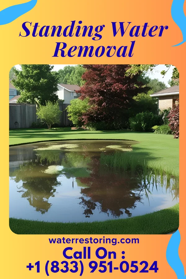 Standing Water Removal in Crafton, PA